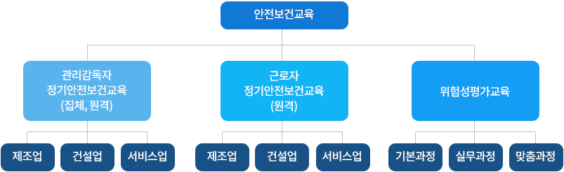 교육과정 체계 이미지